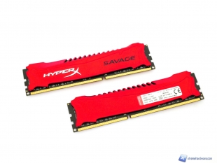 Kingston-Savage-10