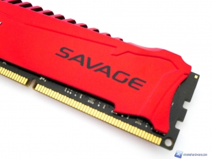 Kingston-Savage-11