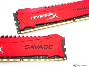 Kingston-Savage-17