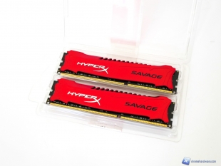 Kingston-Savage-6