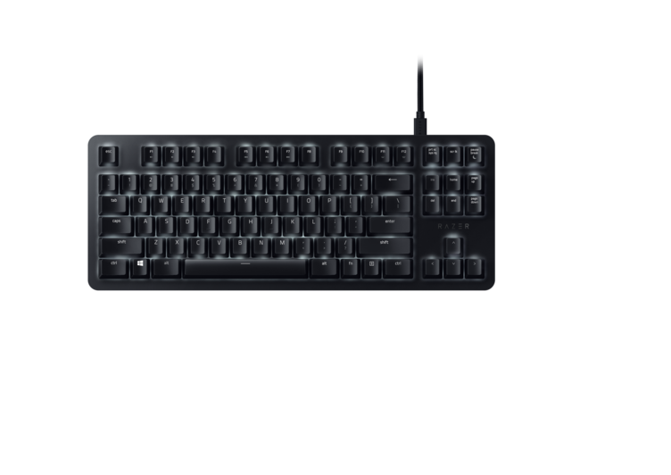 BlackWidow Lite 201801